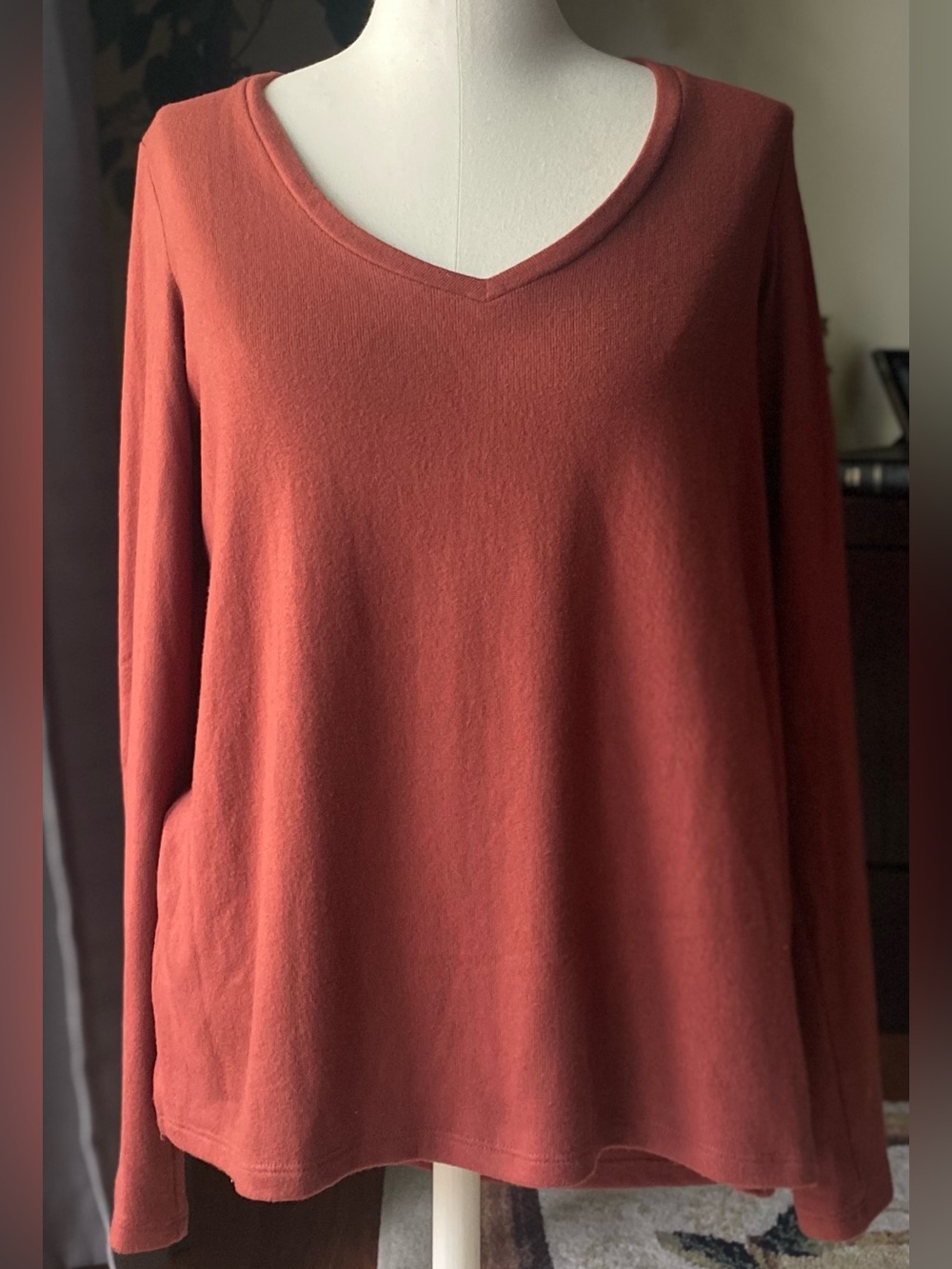 American Eagle Long Sleeve Top in Rust